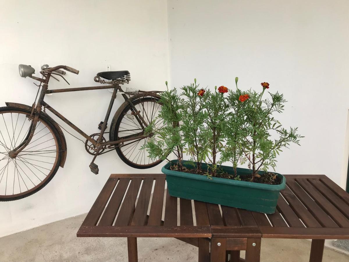فيلا Casa Do Ferreiro Tolosa المظهر الخارجي الصورة